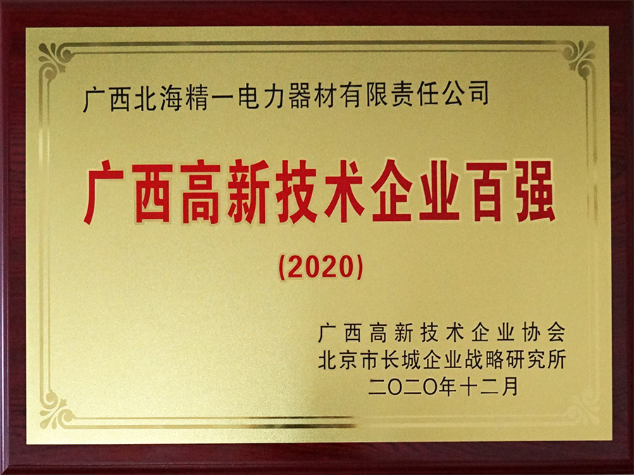2020年广西高新技术企业百强